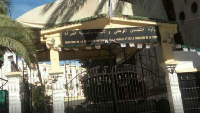 Employment link at the Ministry of National Solidarity - New Algeria