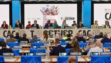 FAO adopts a resolution defending the privacy of Algerian dates - New Algeria