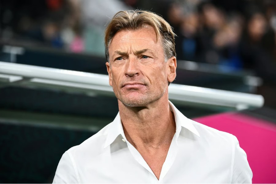 Renard comments on the possibility of training in Algeria - New Algeria