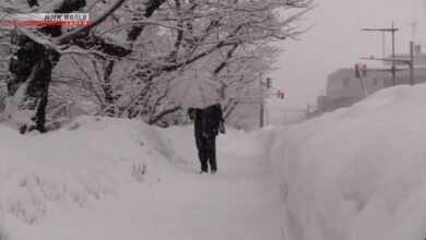 Snow in these states - New Algeria