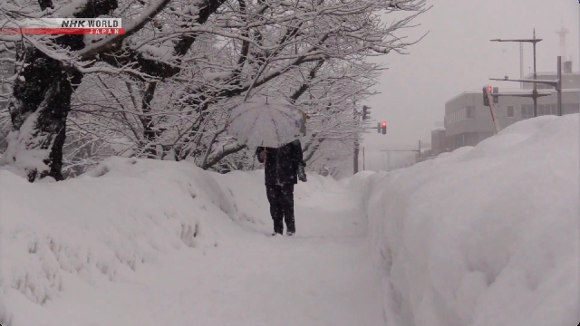 Snow in these states - New Algeria