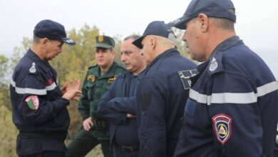 Tipaza authorities take measures to support fire suppression operations