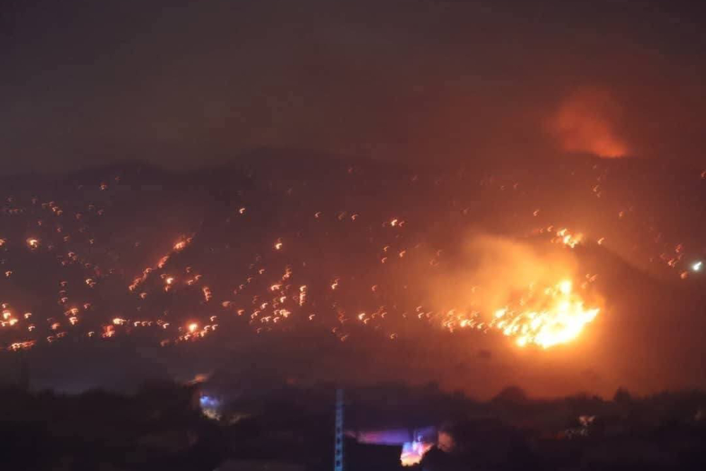 Tipaza forest fires: No casualties so far