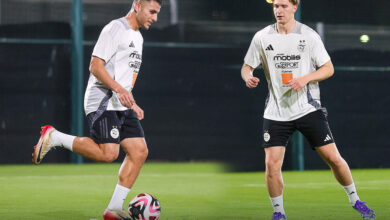 Vegetable preparations in Jeddah begin