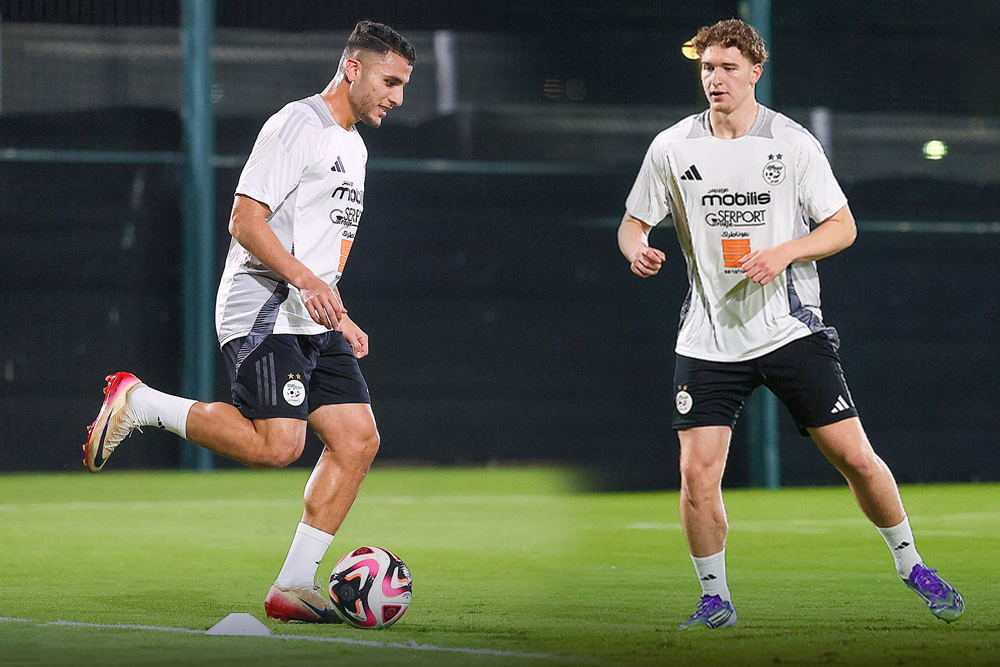 Vegetable preparations in Jeddah begin