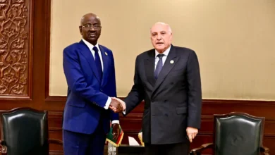 Attaf discusses in Cairo with his Mauritanian counterpart - New Algeria
