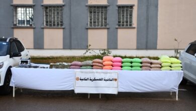 Dismantling a dangerous criminal network active in western Algeria