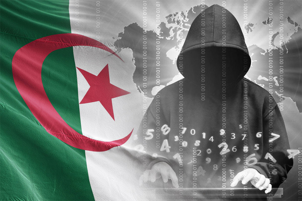 Dismantling organized criminal networks specialized in online fraud