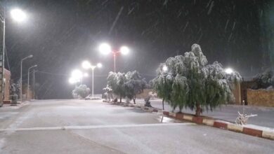 Find out the weather forecast for Monday - New Algeria