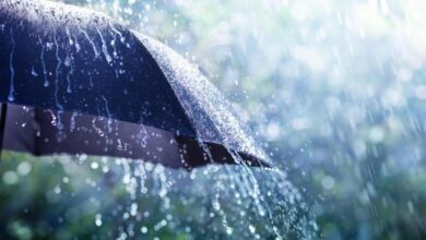 Heavy rain and strong winds affect various states of the country