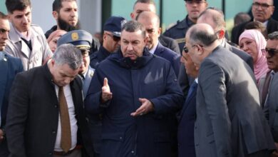 In a surprise visit to the port of Algiers: Saioud gives strict instructions to speed up the movement of containers - New Algeria