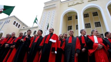Judicial councils organize midterm elections for members of the Supreme Judicial Council - Algerian Al-Hiwar newspaper