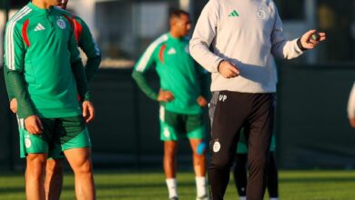 Petkovic is close to determining his starting lineup to face Sudan - New Algeria