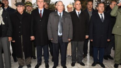 President Tebboune pays great attention to the issue of writing history