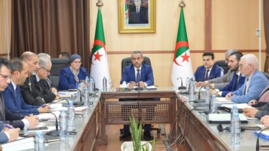 Saadawi announces the removal of secondary materials from the final sections