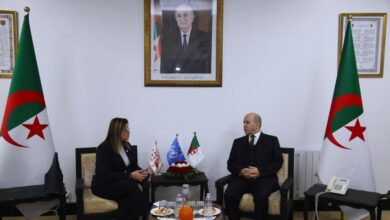 Saihi reviews Algeria's profound reforms in the field of social security