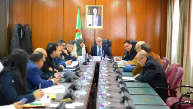 Study to amend the Algerian nationality law - New Algeria
