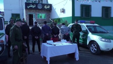 Suspects arrested in fraud, fraud and theft cases in the capital