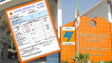 Suspension of cutting off electricity and gas for those who are late in paying bills...and the reason!! - New Algeria