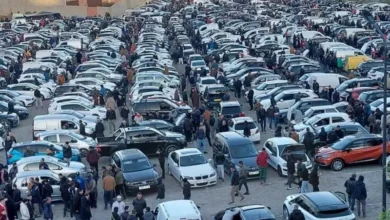 The Consumer Protection Organization warns against owning this car - New Algeria