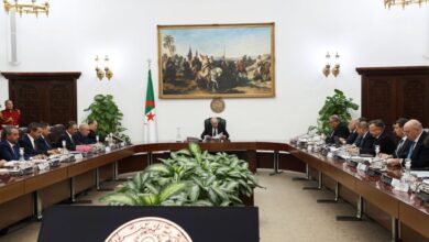 The Council of Ministers approves the promotion of El Alma and Maghnia to two administrative provinces - New Algeria