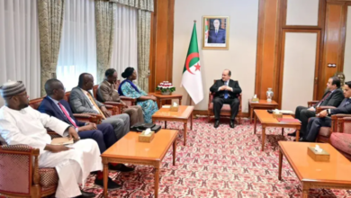 The Prime Minister receives the Minister of Petroleum and Mines of Chad - New Algeria