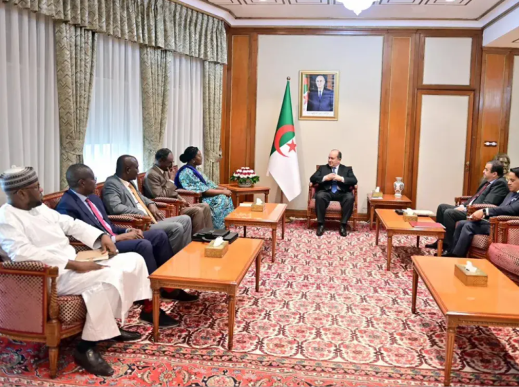 The Prime Minister receives the Minister of Petroleum and Mines of Chad - New Algeria