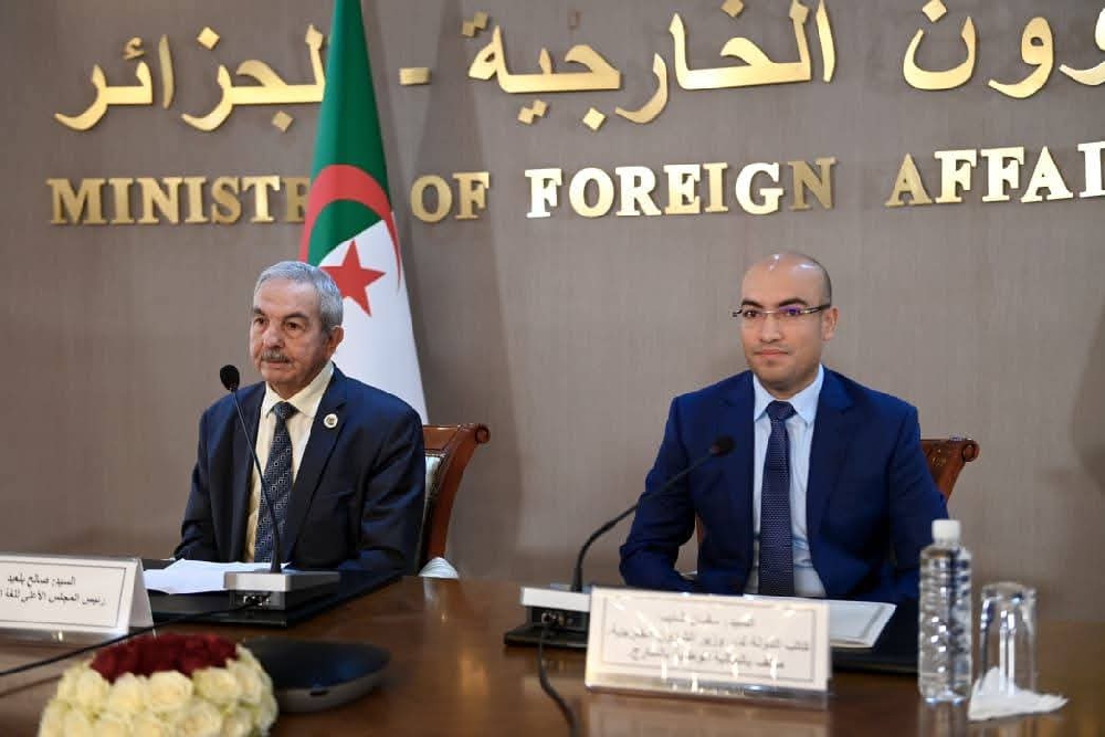 The state is making unremitting efforts to promote the Arabic language