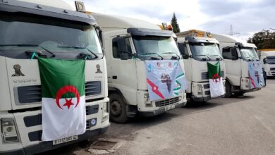 “Tonic Industry”... for the first time an Algerian product invades the Tunisian market - New Algeria