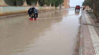 Weather fluctuations... Civil protection intervenes in 7 states - New Algeria