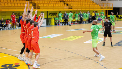 Handball: The national team draws against the Czechs