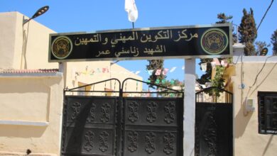 285 thousand new pedagogical seats in anticipation of training entry