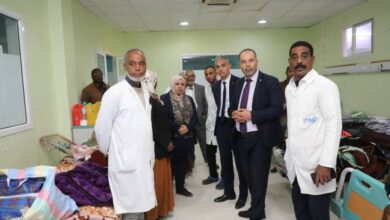 A parliamentary delegation monitors the reality of the health sector in the south