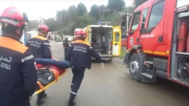 A shocking outcome of civil protection interventions during the year 2025 - New Algeria
