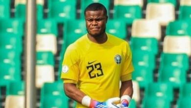 After the loss of Alkann...the Nigerian goalkeeper comforts Morocco with sarcasm - Algeria Aljadeed