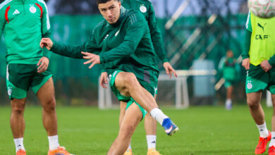 Algeria is determined to overtake the Democratic Republic of the Congo in “Cannes 2025” - The New Algeria