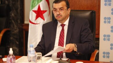 Arkab is on a working visit to Niger - New Algeria