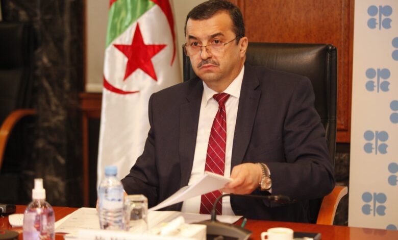 Arkab is on a working visit to Niger - New Algeria