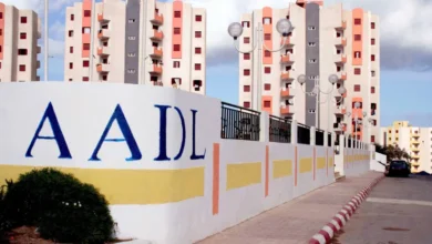 BDL Bank announces the financing of “Add 3” housing for all subscribers - New Algeria
