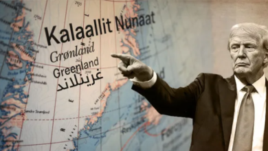 China officially responds to Trump's comments about Greenland