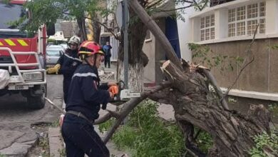 Civil Protection calls for continued caution and caution - New Algeria