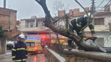 Civil Protection records 530 interventions due to weather fluctuations - New Algeria