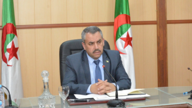 Creating specialized secondary schools in informatics and automated media - New Algeria