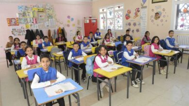 Demands for comprehensive reforms of the educational system during 2026