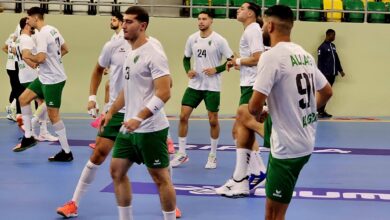 Handball... An Algerian-Egyptian struggle to reach the golden square - New Algeria