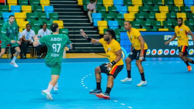 Handball: The national team reaches the 2027 World Cup