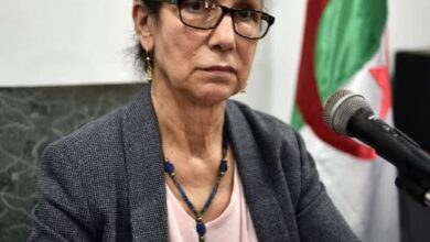 Hanoun appreciates the content of the law criminalizing French colonialism - New Algeria