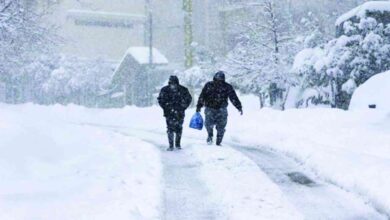 Heavy snow continues in several states until Wednesday - Algerian Al-Hiwar newspaper