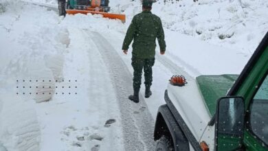 Heavy snow in 14 states today - New Algeria