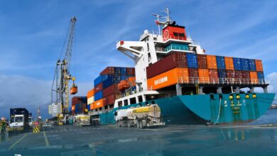 In pictures: The first “transshipment” operation at the port of Djin Djin, Jijel - New Algeria